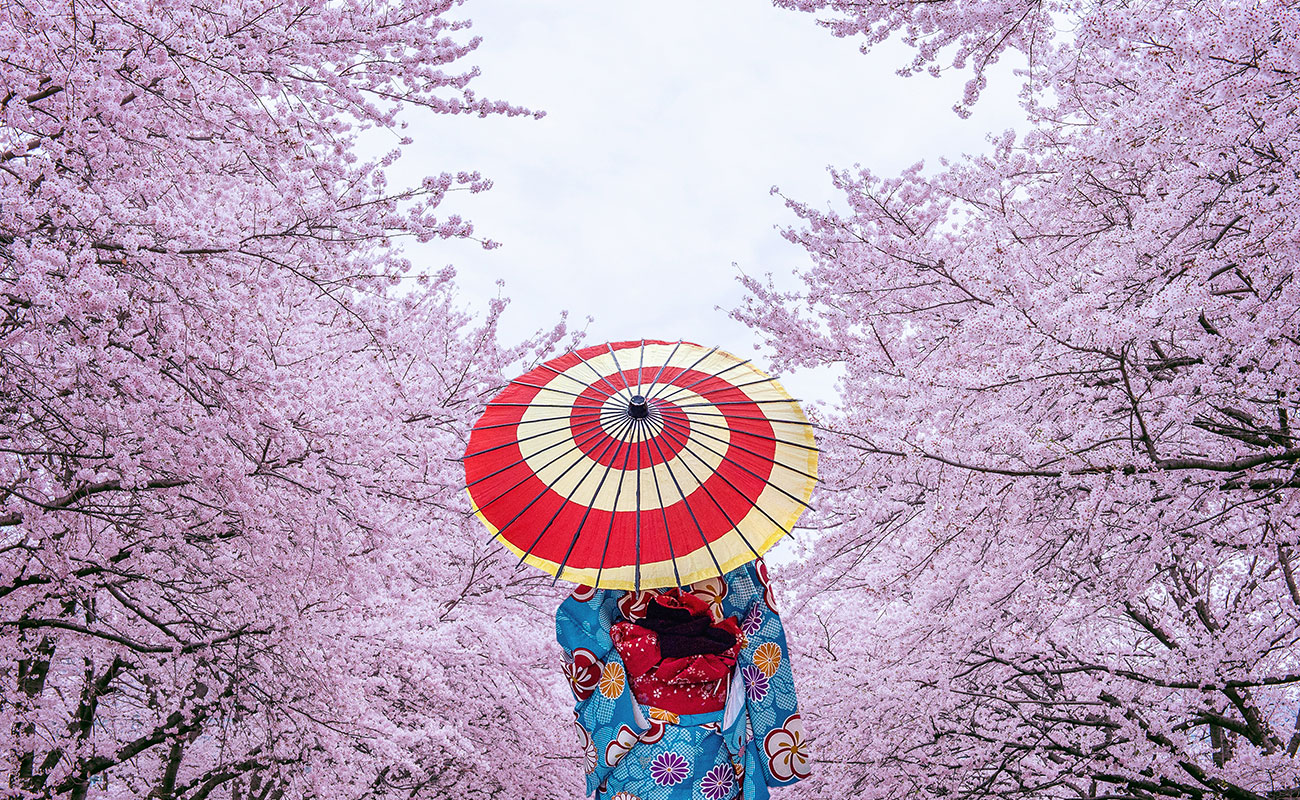 Desa Tersembunyi di Jepang: Destinasi Fashion Unik yang Populer